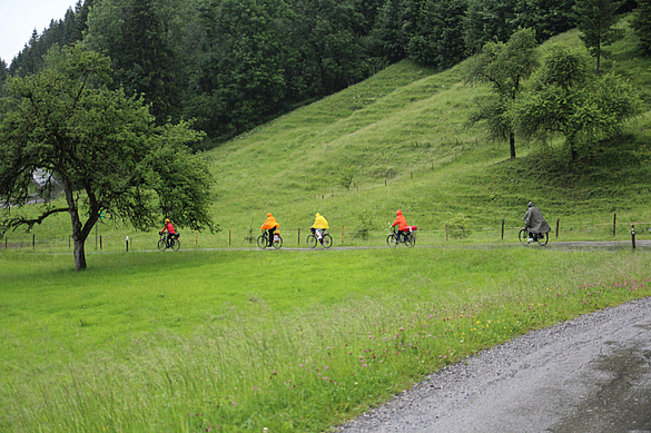 Radler im Regen